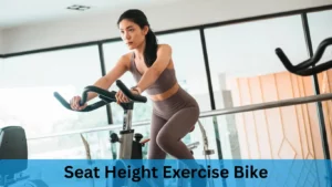 seat height exercise bike
